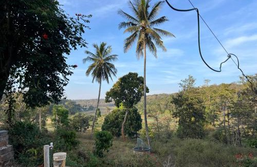 Sulthan Bathery House | Wild 4rest Homestay and huts