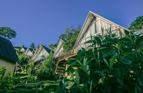 Talawakele Villa | Wild Flower Waterfall Villa