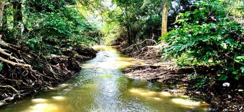 Dambulla Other | Wild Lodge Camp