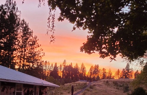 Ahsahka House | Wildlife Beautiful of rocky mountains, minutes away from clearwater river veiw