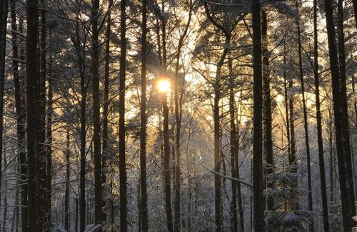 Olofstorp Other | Wildlife camp In a Nordic tipi
