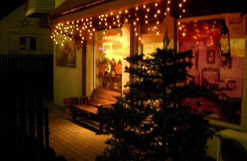 Ciechocinek House | Willa Pod Jedlicą