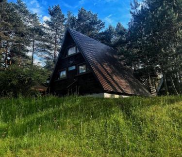 Pilica Resort | Willa u źródeł