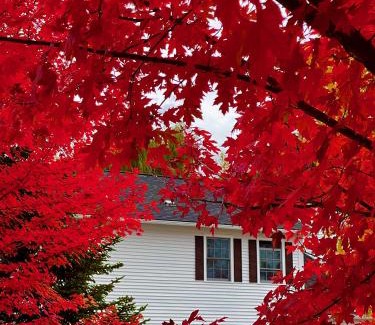 Williston North Hotel | Williston Village Inn