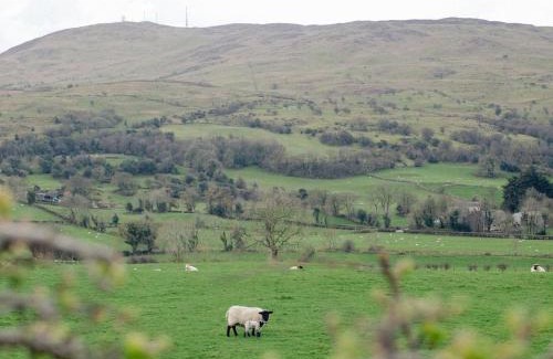 Dromore House | Willow Cottage