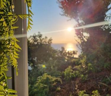 Calheta House | Wing's Of Ana