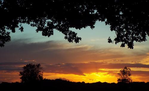 East Dereham House | wingate cottage
