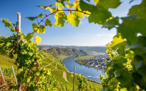 Guels Hotel | WohnGut Koblenz