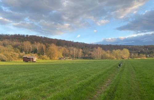 Niedaltdorf Apartment | Wohnung mit Blick auf die Nied