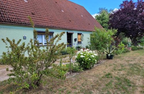 Plattenburg House | Wohnung Waltraud