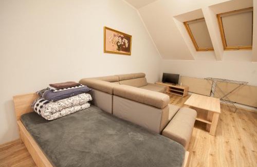 Uzhhorod Apartment | Wonderful flat on city center (Mukachivska 4/15)