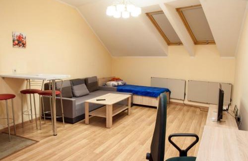 Uzhhorod Apartment | Wonderful flat on city center (Mukachivska 4/17)