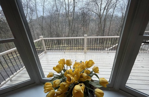 Spring Gap House | Woodland Oasis with quick access to the Potomac River!
