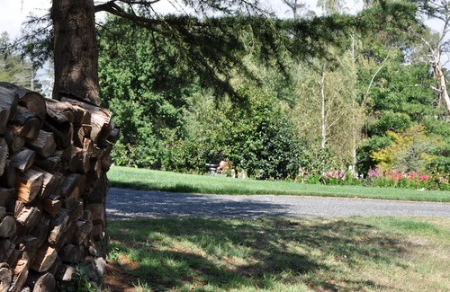 Woodend Apartment | Woodlands Getaway in the heart of the Macedon Ranges
