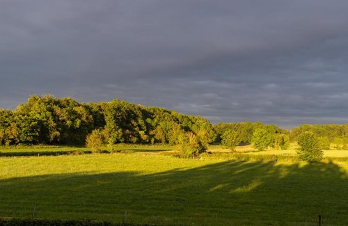 Kiltale Bed & Breakfast | Woodview Lodge