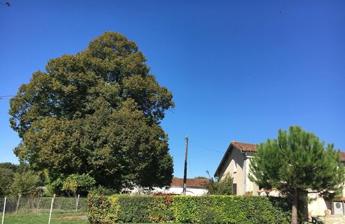Sainte-Souline House | Wow! Family reunion? Grandparents & friends joining you? Perfect for all ages!