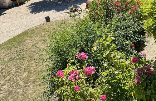 Sainte-Souline House | Wow! Family reunion? Grandparents & friends joining you? Perfect for all ages!