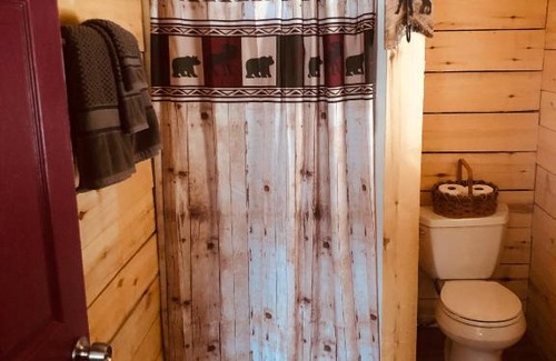 Chitina Cabin | Wrangell Mountain Lodge- Private Bathroom with shower