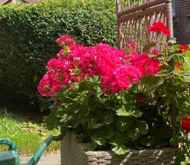 Ebersdorf Apartment | Wunderschöne Ferienwohnung zwischen Bremen und Hamburg