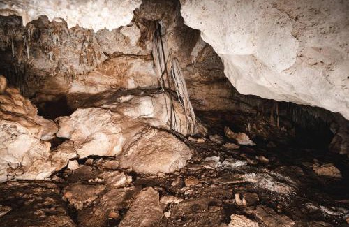 Xcaret Other | Xcaret Monkeys and Nature Stay
