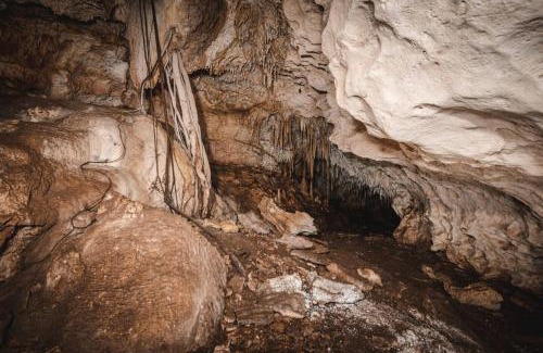 Xcaret Other | Xcaret Monkeys and Nature Stay