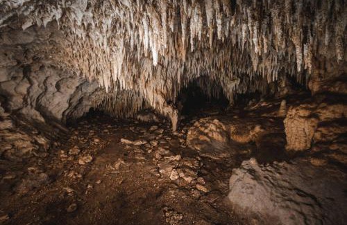 Xcaret Other | Xcaret Monkeys and Nature Stay