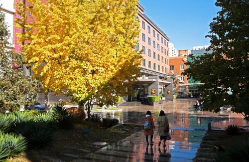 North Chaoyang Hotel | Xijiao Hotel Beijing