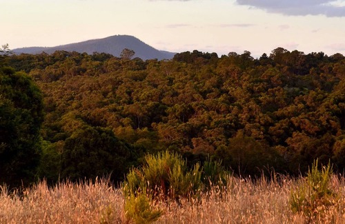Cottles Bridge House | Yarra Valley Bush Sanctuary 30 acre Private Retreat