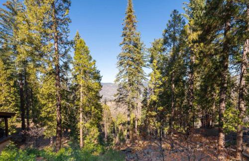 Yosemite West House | Yosemite Aviary - Bird's Eye View Awesome Upper Unit