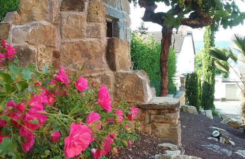 Durrbachau Apartment | Your holiday in Franconia
