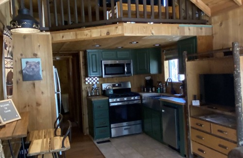 Tahoe Valley House | Your Tahoe Tiny House Escape PETS WELCOME!