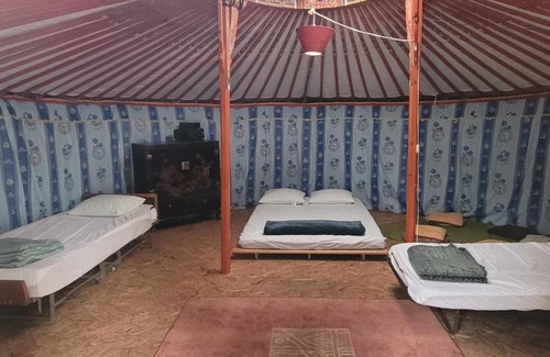 Nivillac Other | Yourte et Chalet avec piscine