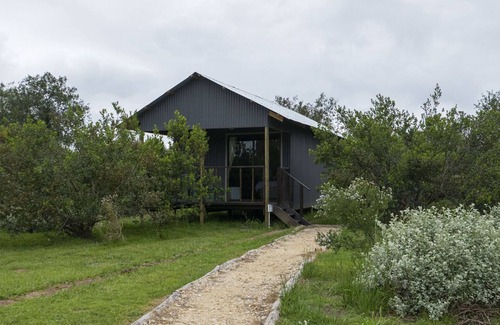 Die Barakke Cabin | Sleep Whiskers away from the Lions and " FEEL " them ROAR! Cabin 3