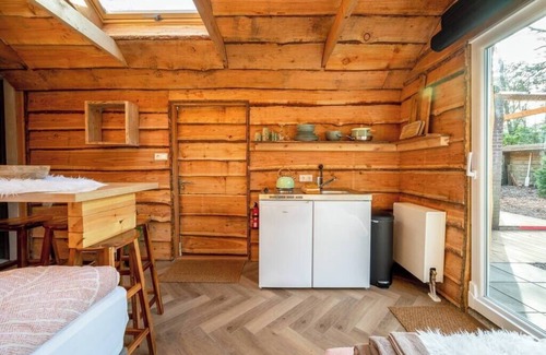 Rheezerveen House | ZEN-Bungalow no 3 with sauna and hottub