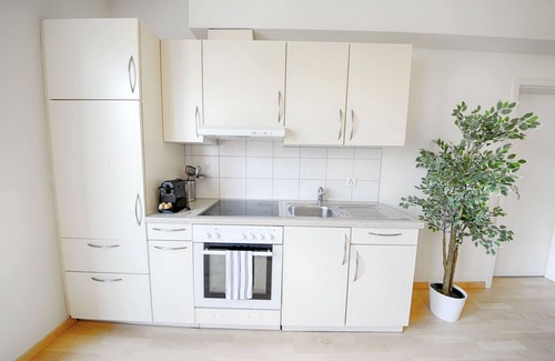Langstrasse Apartment | ZH Botteron - Stauffacher HITrental Apartment