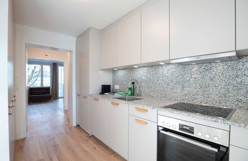 Center Apartment | ZH Pink 1 - Letzigrund HITrental Apartment