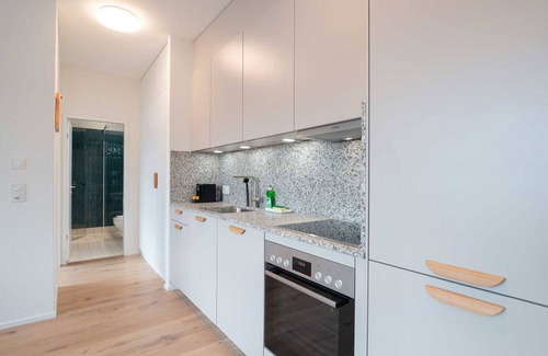Center Apartment | ZH Yellow 4- Letzigrund HITrental Apartment
