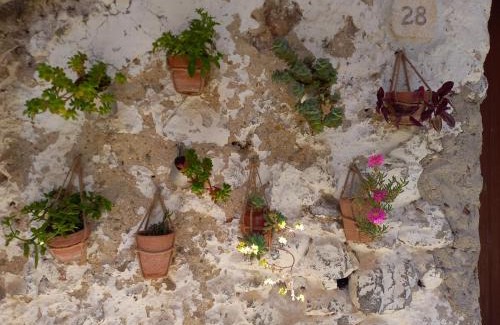 Corleto Monforte House | Zi' Ciccio Casa Vacanze