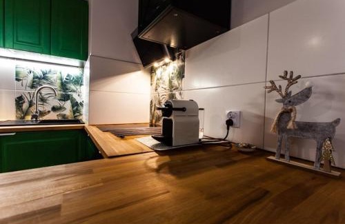 Gliwice Apartment | Zielony Apartament Gliwice