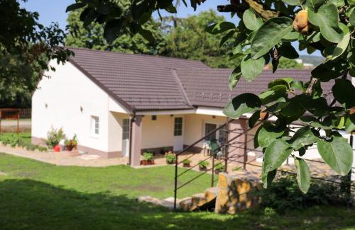Vrdnik Apartment | Zlatne perle