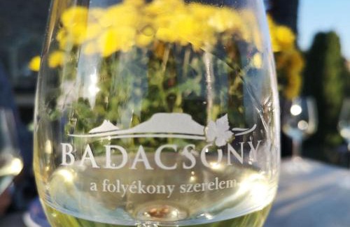 Badacsonyors Bed & Breakfast | Zolka Vendégház