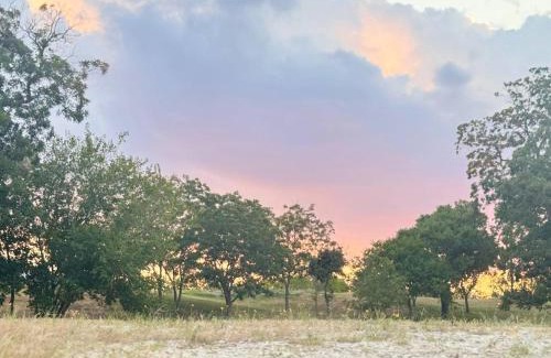 San Marcos Other | ZTX Ranch