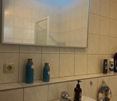 Berga/Elster Apartment | Zur Elster Landruhe Berga