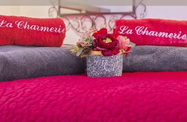ღ CHARMERIE Air-conditioned duplex 5min from Vieux Port