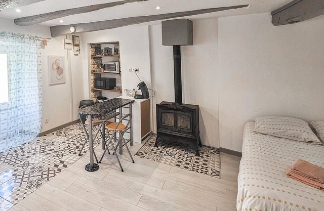 1 bedroom nice home in Thenay