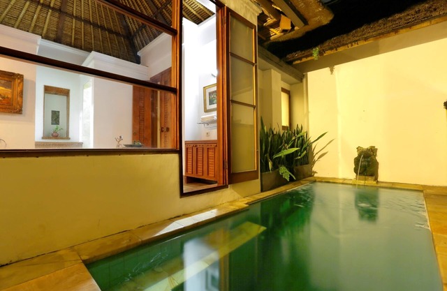 1 BR Villa near Ubud with kitchen, private plunge pool, paddy fields view