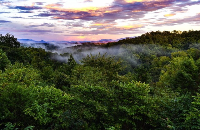 1 of A Kind Log Cabin, Incredible 360 Views, Completely Private, HotTub, Firepit