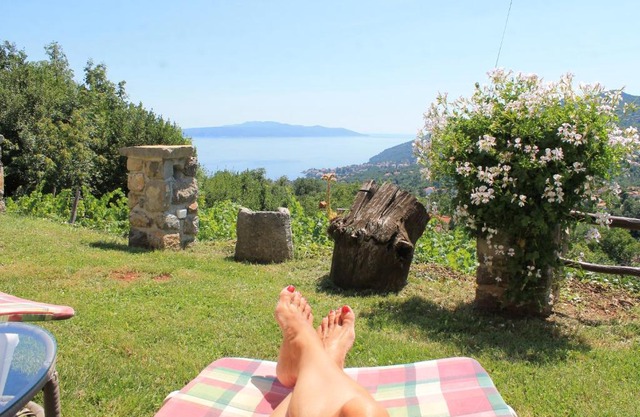2 Apartments in Old Stone House near Opatija