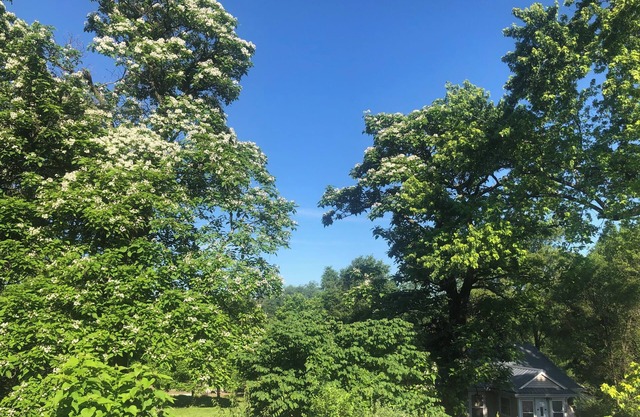 2 Bdrm Urban Acreage just outside Des Moines city limits 10min from downtown.