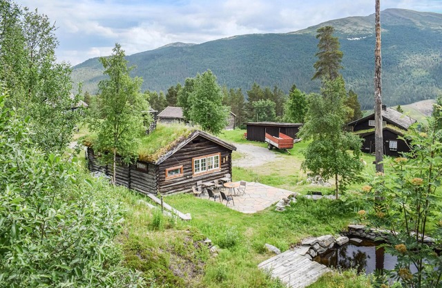 3 bedroom amazing home in Heidal